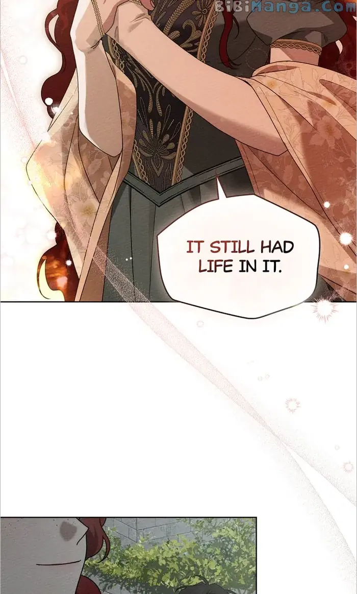 Under the Oak Tree    Chapter 78 image 41_optimized